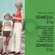 Someșul Cluj