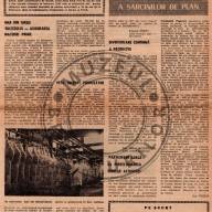 IIC Suceava 