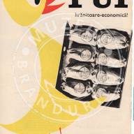 Carne de pui - comunism, reclamă generică